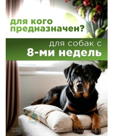 Zoetis Simrapik tablets for dogs from 20.1 to 40 kg - Buy Online on GoSupps.com