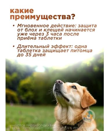 Zoetis Simeparika tablets for dogs from 5.1 to 10 kg - Buy Online on GoSupps.com