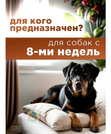 Zoetis Simeparika tablets for dogs from 5.1 to 10 kg - Buy Online on GoSupps.com