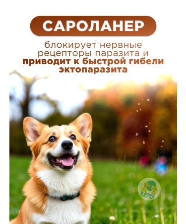 Zoetis Simeparika tablets for dogs from 5.1 to 10 kg - Buy Online on GoSupps.com