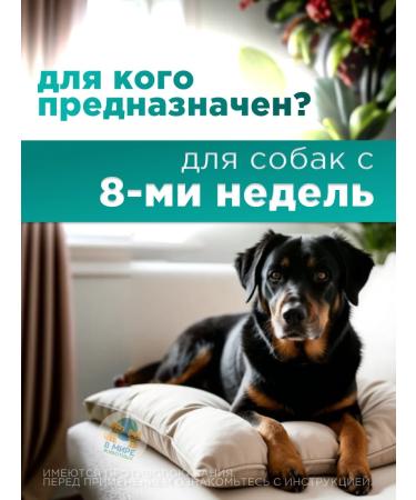 Zoetis Simrapik tablets for dogs from 10.1 to 20 kg - Buy Online on GoSupps.com