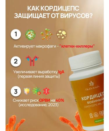 BioBotanix Cordyceps military mycelium in capsules mushroom 60 pcs - Buy Online on GoSupps.com
