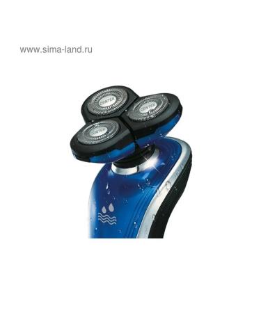 Modern rotary electric brow for smoothness - Buy Online on GoSupps.com