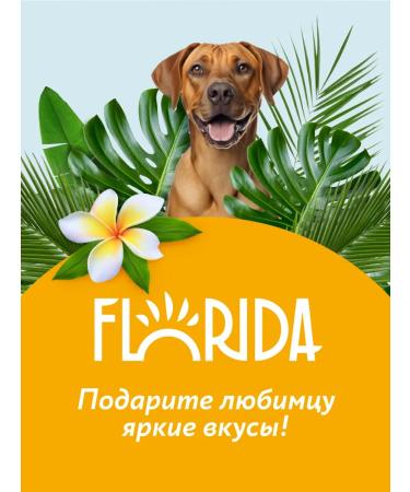 Florida Dog treating beef handle with carrots 120 g - Buy Online on GoSupps.com