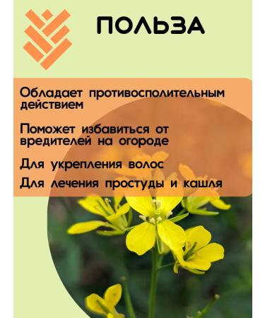 KRUPOVICHOK Mustard powder 5 kg - Buy Online on GoSupps.com