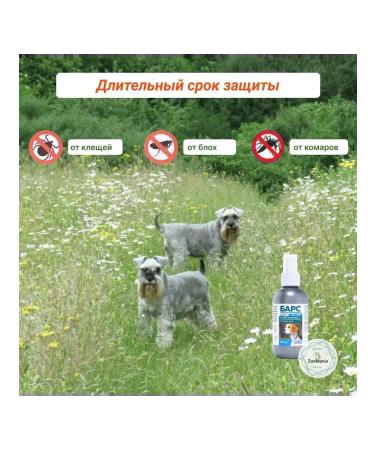 AVZ Bars SPRIE OF ACECTO -ACARICIENT for dogs 100 - Buy Online on GoSupps.com
