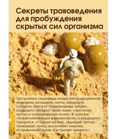 Tiens Cordyceps Tianshi for immunity - Buy Online on GoSupps.com