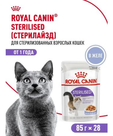 ROYAL CANIN Wet food for cats sterilized (jelly) 85 g x 28 pcs
