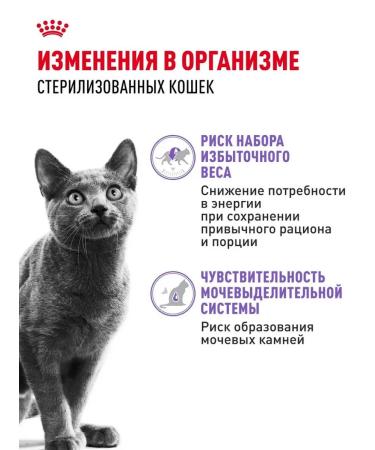 ROYAL CANIN Wet food for cats sterilized (jelly) 85 g x 28 pcs - Buy Online on GoSupps.com