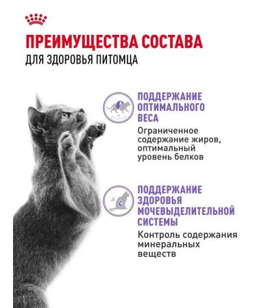 ROYAL CANIN Wet food for cats sterilized (jelly) 85 g x 28 pcs - Buy Online on GoSupps.com