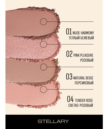 Stellary Face blush cashmee blus tone 04 - Buy Online on GoSupps.com
