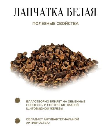 Incredibly useful The cinquefoil is white root - Buy Online on GoSupps.com