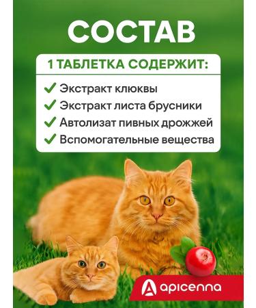 Apicenna Stop cystitis plus 30 tablets - Buy Online on GoSupps.com