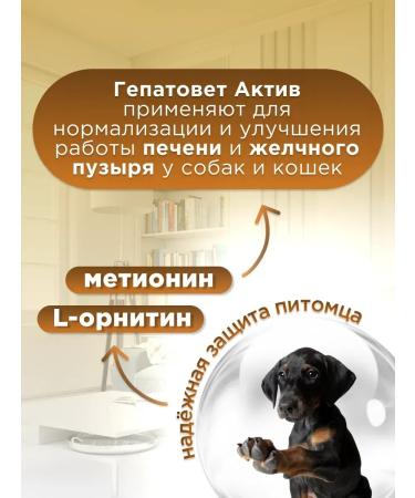 Apicenna Hepatovet asset for liver of cats and dogs 100 ml - Buy Online on GoSupps.com