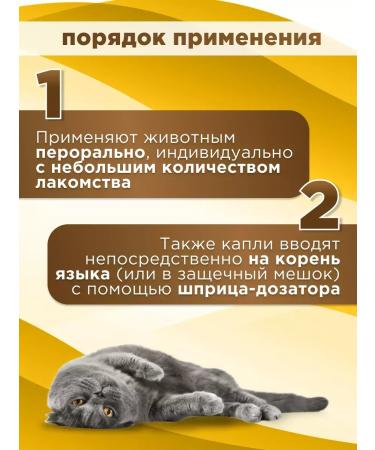 Apicenna Hepatovet asset for liver of cats and dogs 100 ml - Buy Online on GoSupps.com