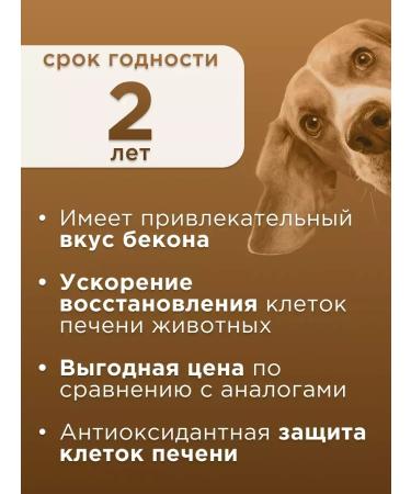 Apicenna Hepatovet asset for liver of cats and dogs 100 ml - Buy Online on GoSupps.com