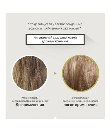 LADOR Shampoo and air conditioning powerless Moisture Balance - Buy Online on GoSupps.com