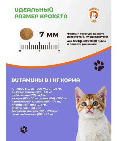 Happy Pet Dry food for kittens Kitten with salmon 5 kg - Buy Online on GoSupps.com