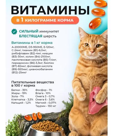 Happy Pet Dry food for cats Holistic turkey with a cranberry 600 g - Buy Online on GoSupps.com