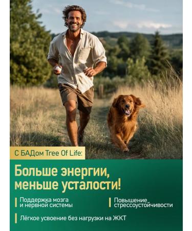 Tree of Life Magnesium Helat with vitamin B6 120 capsules - Buy Online on GoSupps.com