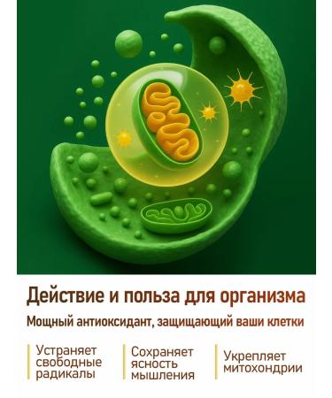 Tree of Life Alpha-lipoic acid 400 mg 60 capsules - Buy Online on GoSupps.com