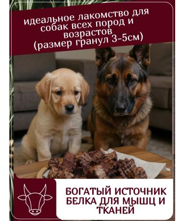 ZOOGENY Light beef a treat for dogs large cutting 60 g - Buy Online on GoSupps.com