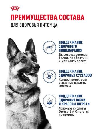 Dry feed for dogs Royal Canin of large rocks - Buy Online on GoSupps.com