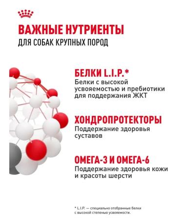 Dry feed for dogs Royal Canin of large rocks - Buy Online on GoSupps.com