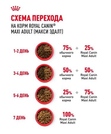 Dry feed for dogs Royal Canin of large rocks - Buy Online on GoSupps.com