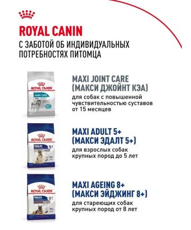 Dry feed for dogs Royal Canin of large rocks - Buy Online on GoSupps.com