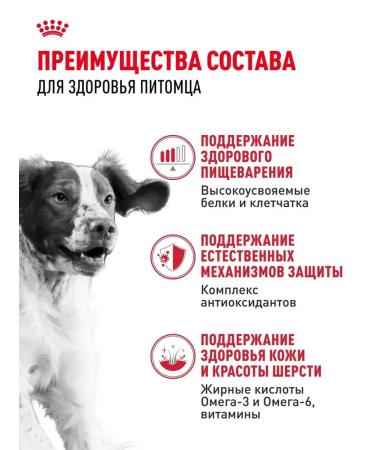 Dry food for dogs Royal Canin for medium - Buy Online on GoSupps.com
