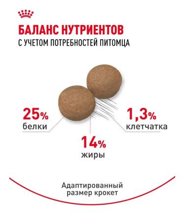 Dry food for dogs Royal Canin for medium - Buy Online on GoSupps.com