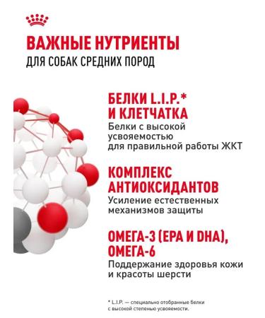 Dry food for dogs Royal Canin for medium - Buy Online on GoSupps.com