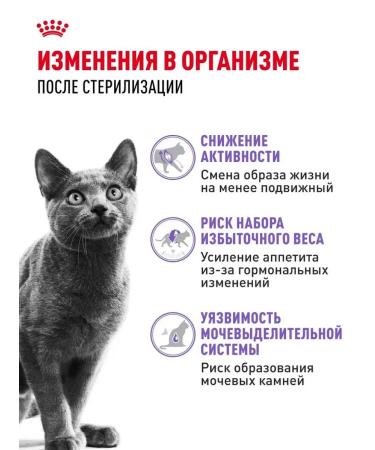 Dry food for sterilized cats Royal Canin - Buy Online on GoSupps.com
