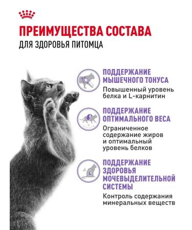 Dry food for sterilized cats Royal Canin - Buy Online on GoSupps.com