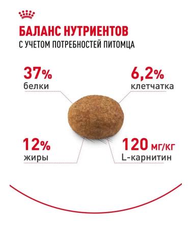 Dry food for sterilized cats Royal Canin - Buy Online on GoSupps.com