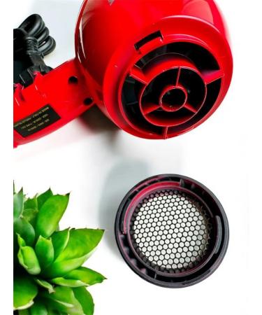 Charites Feng for hair professional with nozzles - Buy Online on GoSupps.com