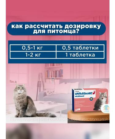 Elanco Milbemax tablets against kittens - Buy Online on GoSupps.com