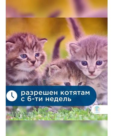 Elanco Milbemax tablets against kittens - Buy Online on GoSupps.com