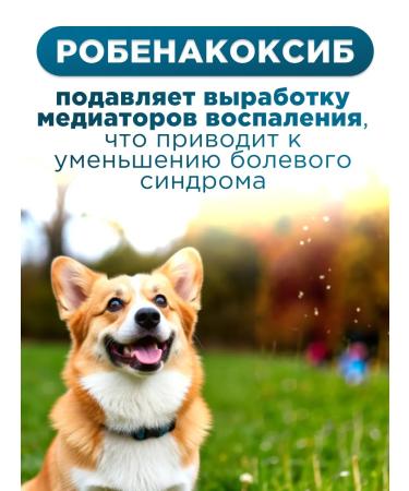 KRKA Robexer painkillers for dogs 5 mg - Buy Online on GoSupps.com