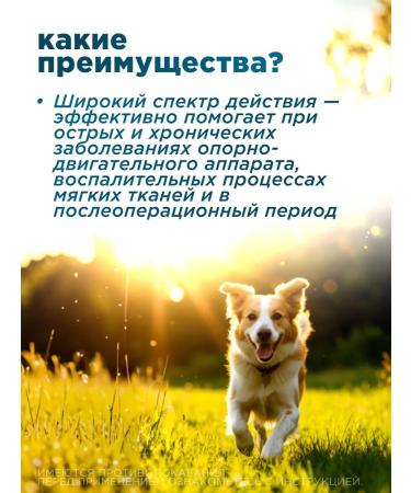 KRKA Robexer painkillers for dogs 40 mg - Buy Online on GoSupps.com