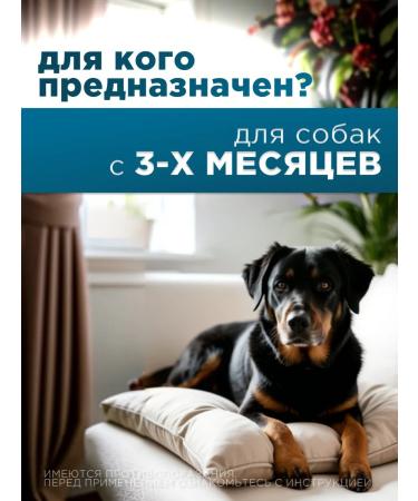 KRKA Robexer painkillers for dogs 40 mg - Buy Online on GoSupps.com