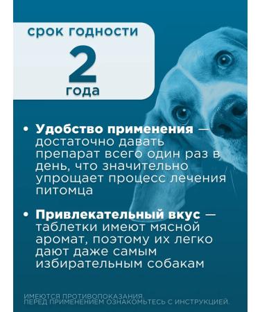 KRKA Robexer painkillers for dogs 40 mg - Buy Online on GoSupps.com