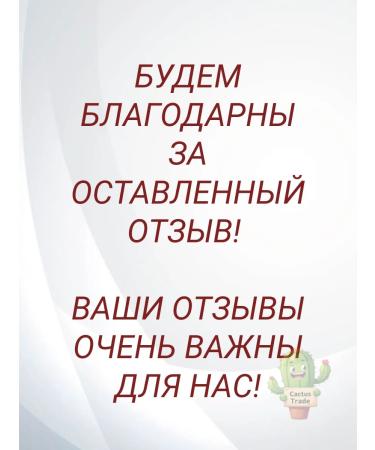 Spirulina VEL tablets 120 pcs - Buy Online on GoSupps.com