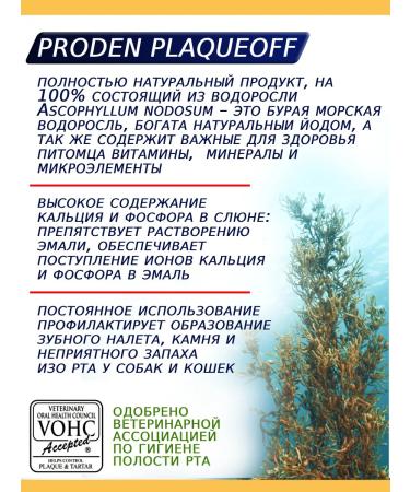 ProDen PlaqueOff Prevention for toothstone prevention 40 g - Buy Online on GoSupps.com