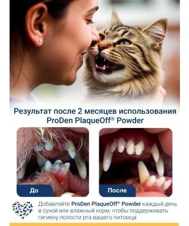 ProDen PlaqueOff Prevention for toothstone prevention 40 g - Buy Online on GoSupps.com