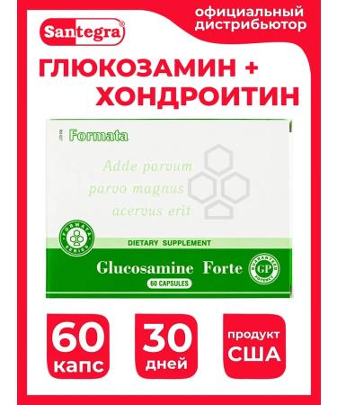 Santegra Santegra Chondroprotector Glucosamine Forte