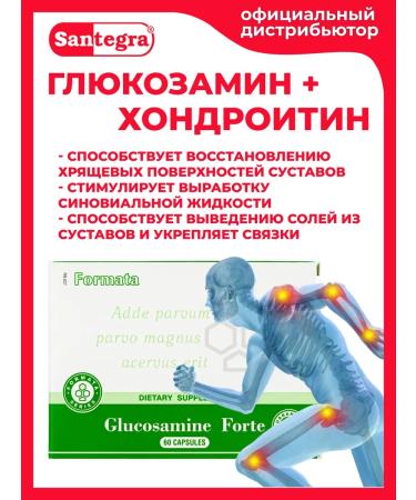 Santegra Santegra Chondroprotector Glucosamine Forte - Buy Online on GoSupps.com