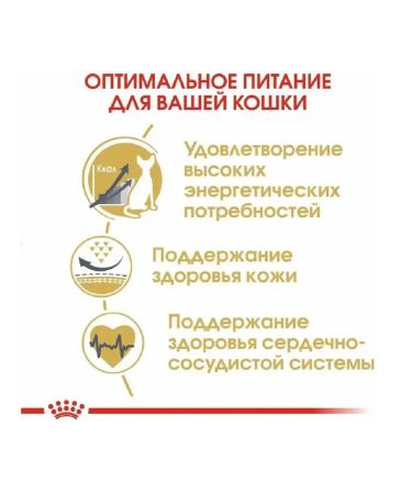 ROYAL CANIN Sphynx Adult food for sphinx breeds 2 kg - Buy Online on GoSupps.com