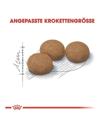 ROYAL CANIN Ageing 12+ for sterilized cats 2 kg - Buy Online on GoSupps.com